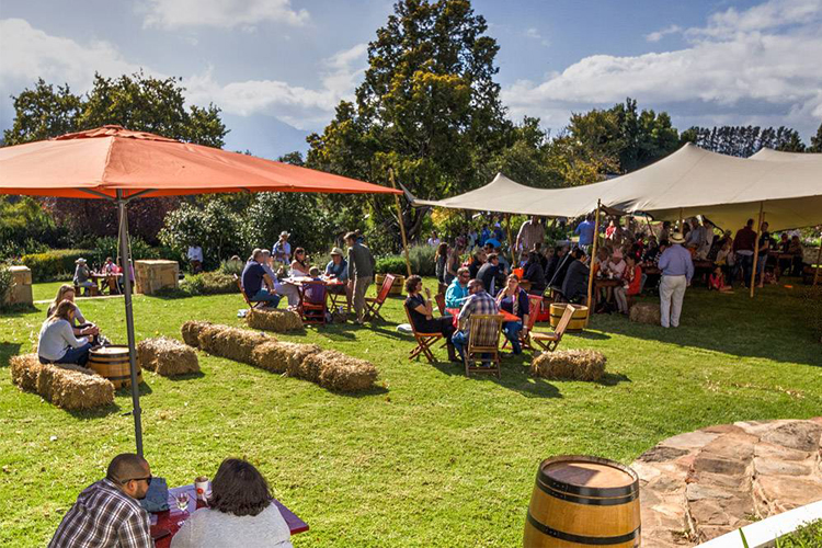 Elgin Wine Festival