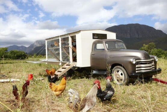 Avondale Farm