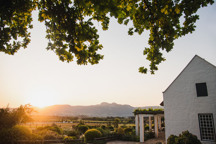 Faber Paarl