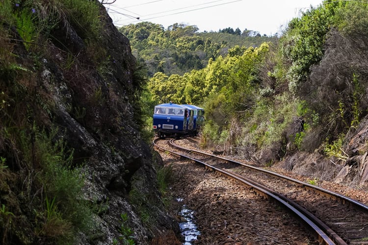 Diaz Express Train Trip