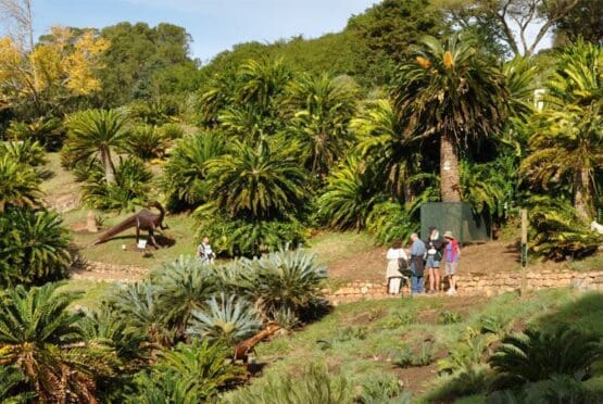 Kirstenbosch Dinosaurs Cape Town