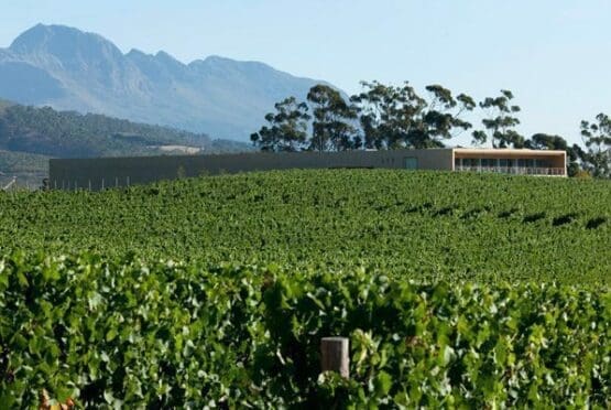 Glenelly Wine