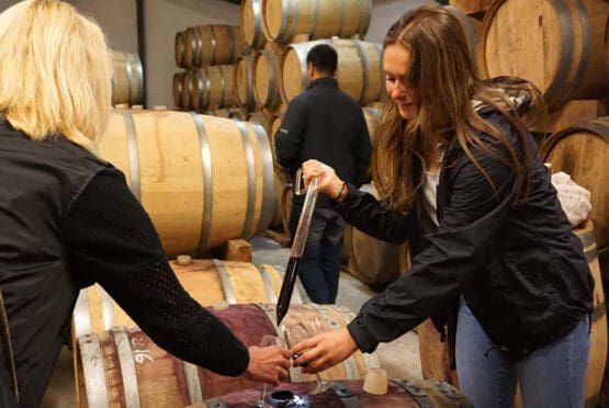 Stellenbosch Wine Tour