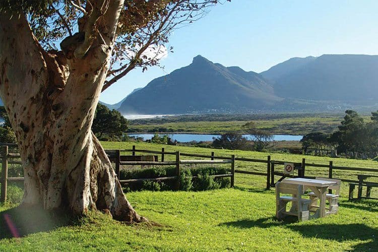 Blue Water Cafe: Kid-friendly Restaurants in Cape Town