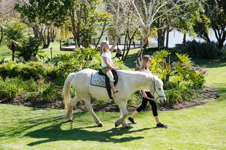 Rhebokskloof: Kid-friendly Restaurants in Cape Town