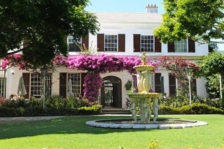 Vineyard Hotel: Kid-friendly Restaurants in Cape Town