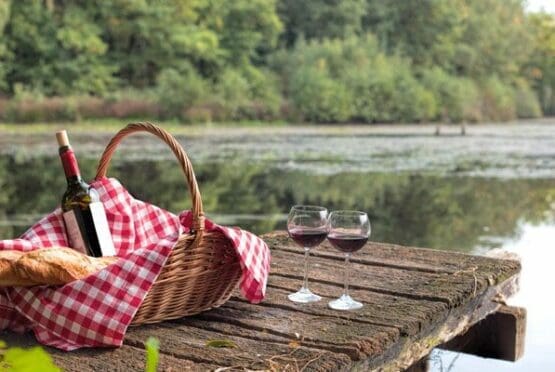 dial a picnic