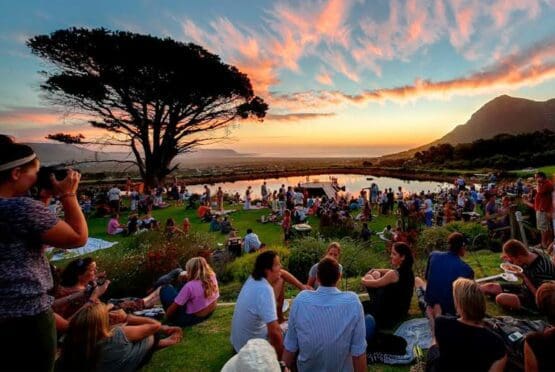 Cape Point Vineyards Market
