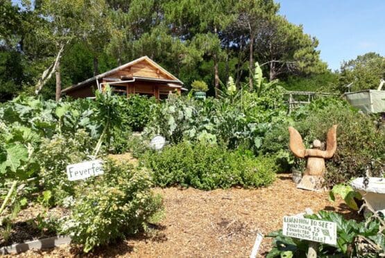 Soil For Life Workshops