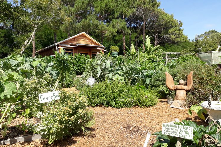 Soil For Life Workshops