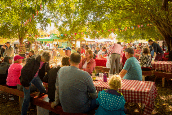 Blaauwklippen Market