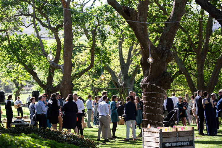 Pinot Noir Celebration Hemel-en-Aarde: Best Events 