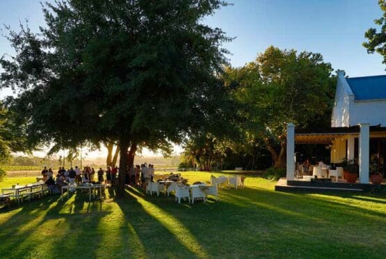 Stellenbosch Wine Tour