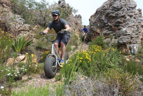 Scootours Stellenbosch