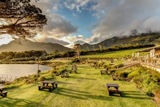 Cape Point Vineyards Picnic