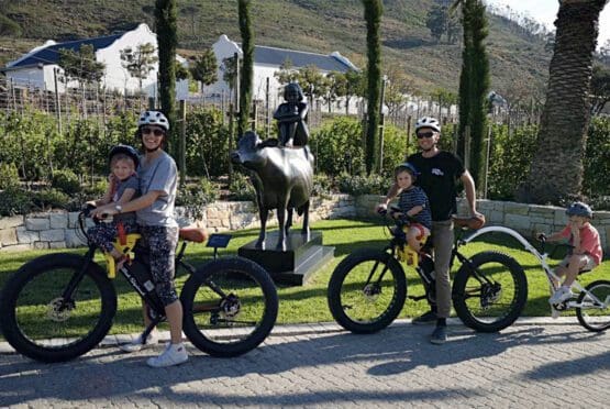 E Bike Stellenbosch