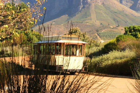 L'Ormarins Estate Wine Tram Franschhoek
