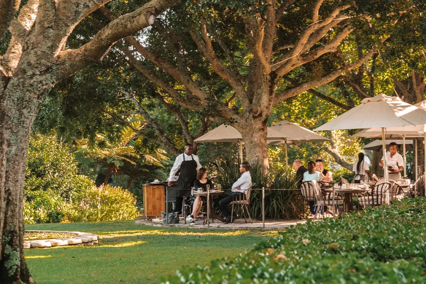 Newlands Restaurants The Vineyard Garden Lounge And Patio