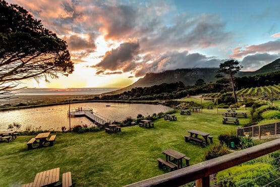 Cape Point Vineyards Market