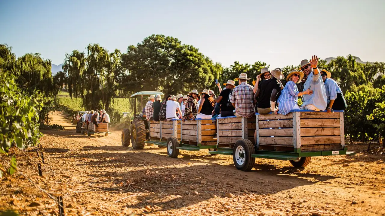Nederburg Harvest at Dusk