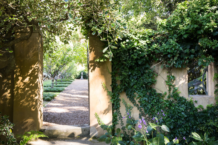 Cellars Hohenort Tea Party