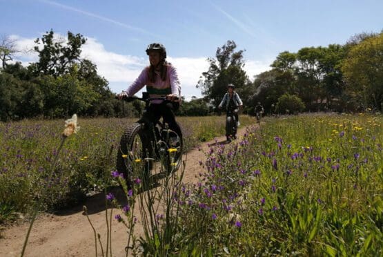 E- Bike Tour Stellenbosch