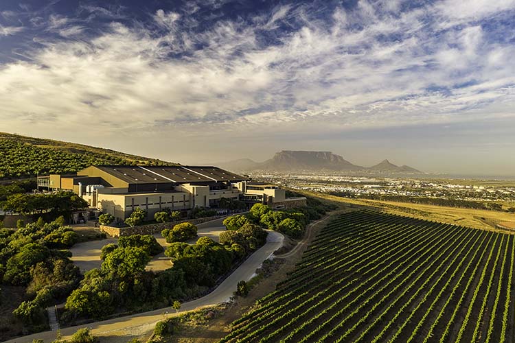 Durbanville Hills Wine Specials