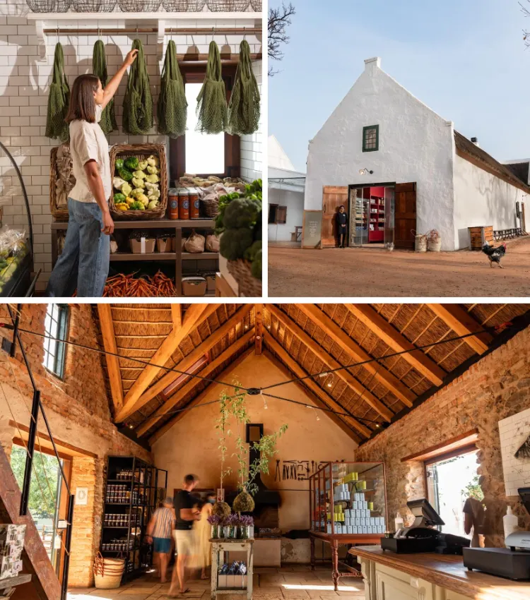 Delis Babylonstoren