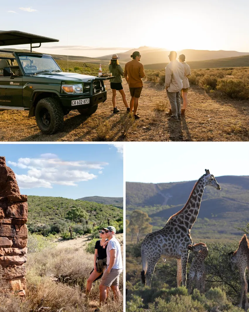 Melozhori Game Reserve Activities
