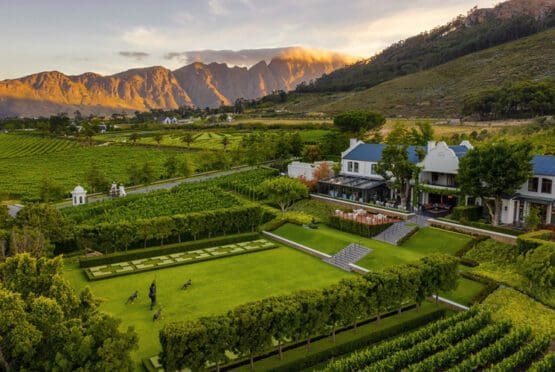 The Best Wine Farms in Franschhoek