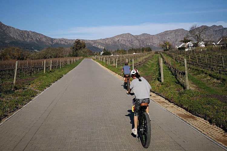 Franschhoek Ebike Tour