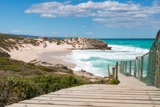 De Hoop Accommodation Special