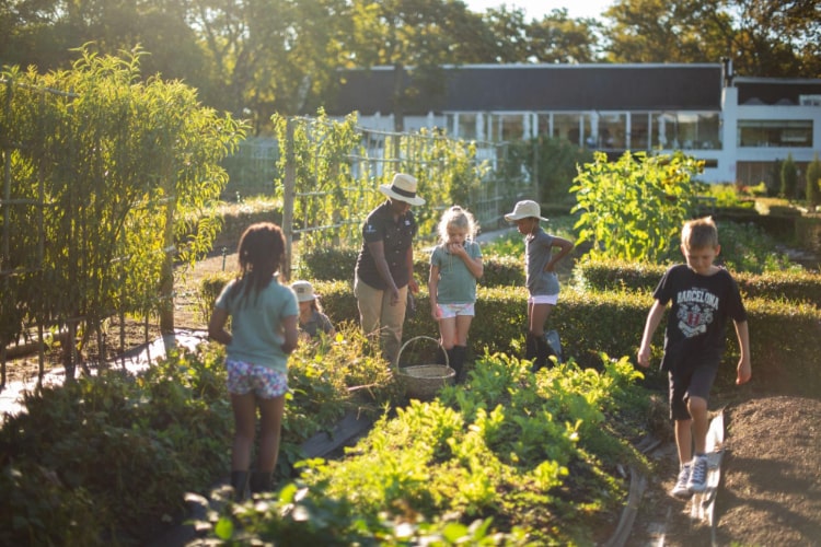 Boschendal Tree House Spring Experience 2022: Lead
