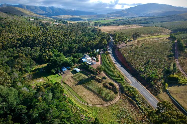 Best Hemel-en-Aarde Wine Farms: Bartho Ecksteen