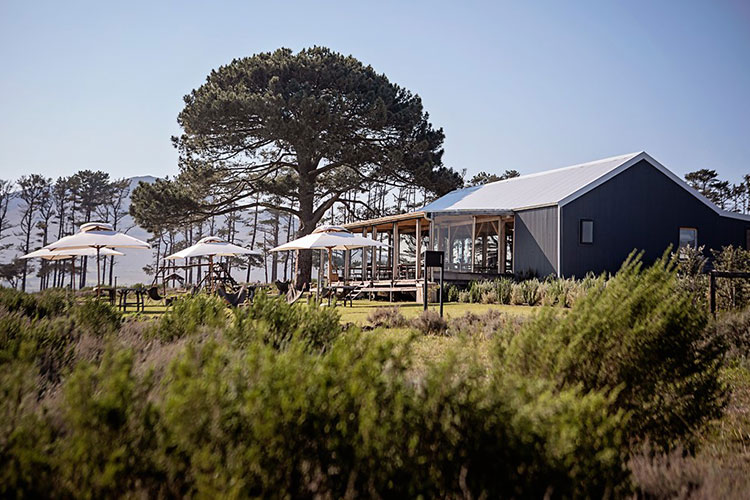 Best Hemel-en-Aarde Wine Farms: Bosman Hermanus