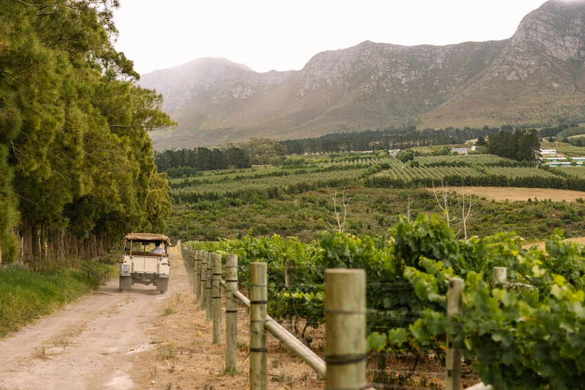 Hemel And Aarde Wine Farms Hasher