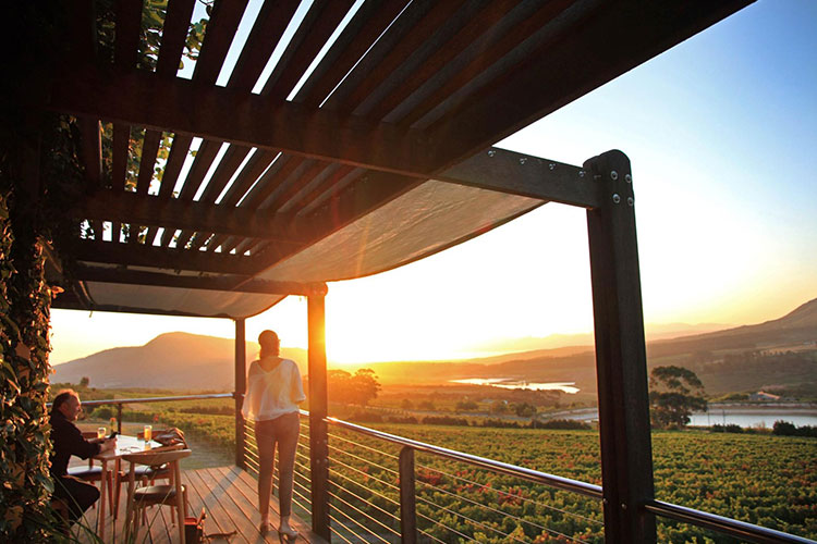 Best Hemel-en-Aarde Wine Farms: Newton Johnson