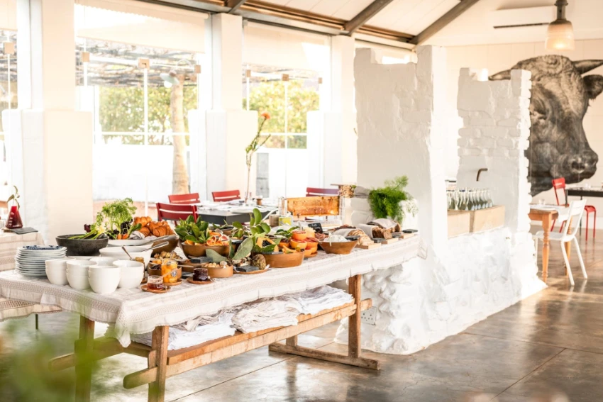Wine Farm Breakfast Babel