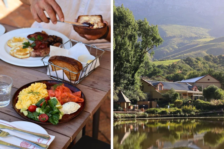 Wine Farm Breakfast Postcard Cafe
