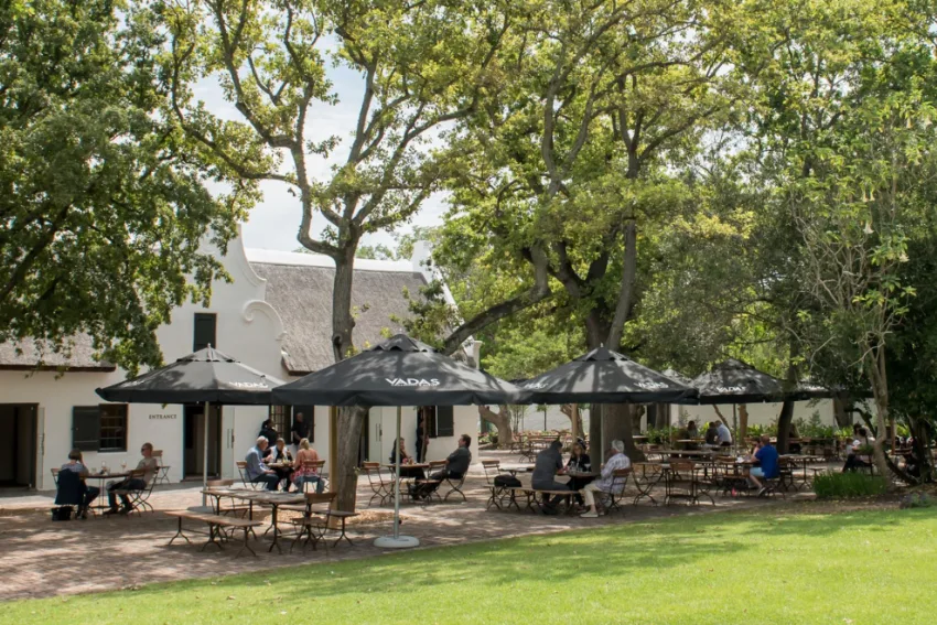 Wine Farm Breakfast Spier