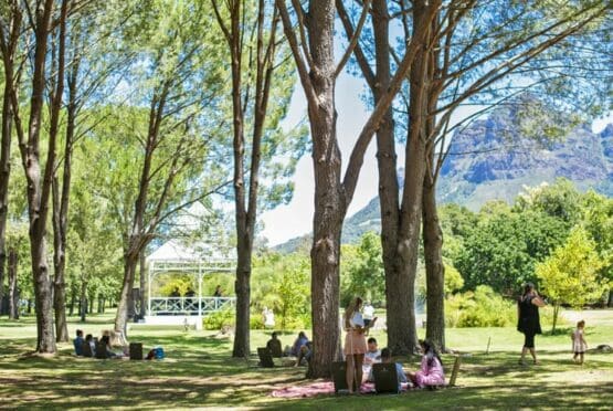 Boschendal Picnics: Lead