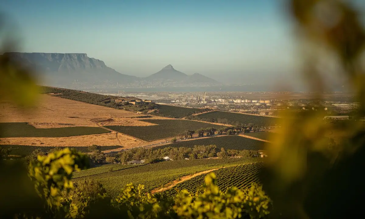 Durbanville Hills