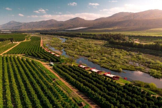 Wolfkop Citrusdal Valley