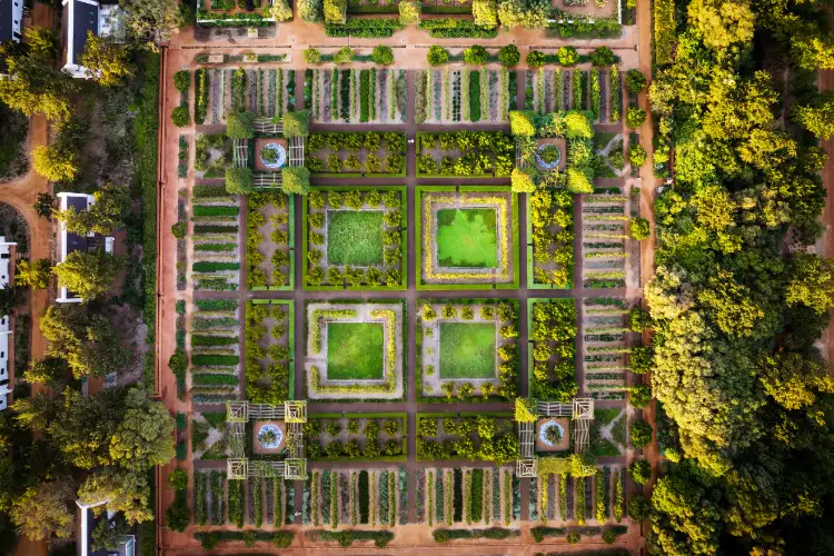 Babylonstoren Olive Aerial View