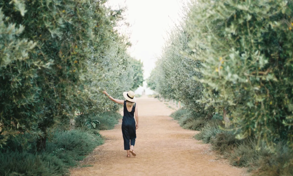 Babylonstoren Olive Oil