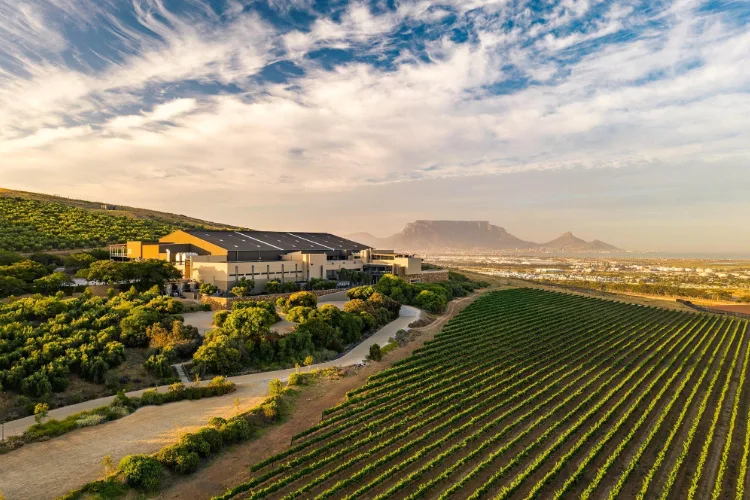 Durbanville Hills Wine Pairing