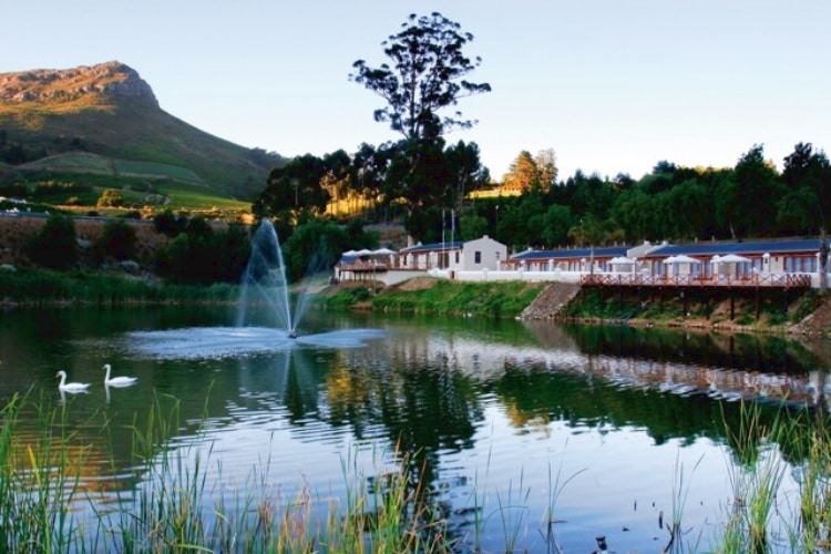 Best Wine Farms in Banhoek Valley 2022: Le Pommier