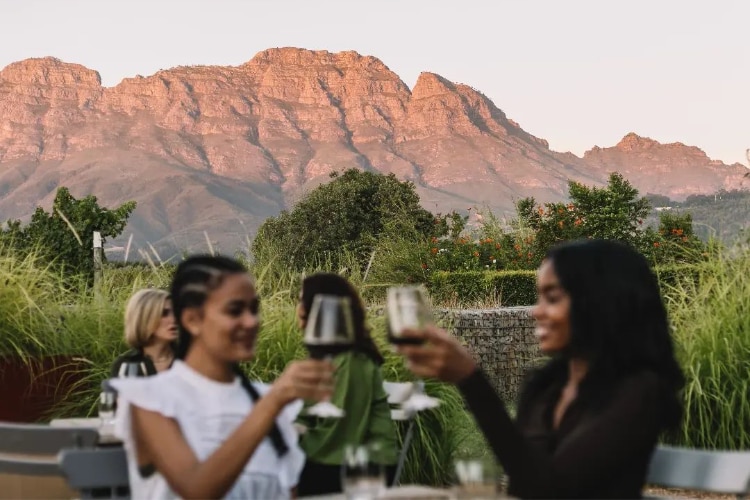 Visit Stellenbosch: Taste Stellenbosch The Vine Bistro Special