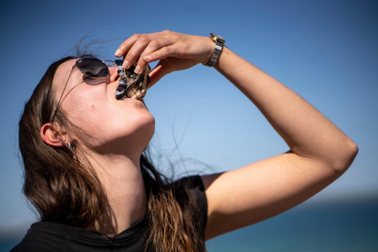 Explore Collection West Coast Eat Mussels