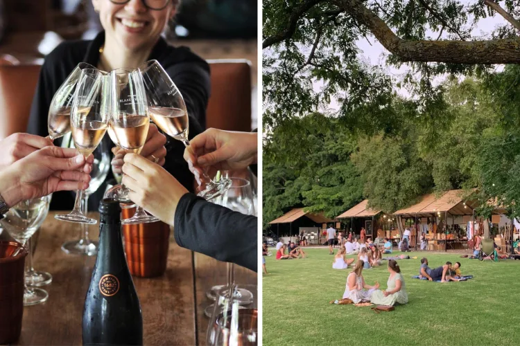 Stellenbosch Wine Farms Blaauwklippen